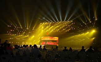 視覺設(shè)計(jì)機(jī)構(gòu)甄選指南 賦能文化藝術(shù)交流與策劃